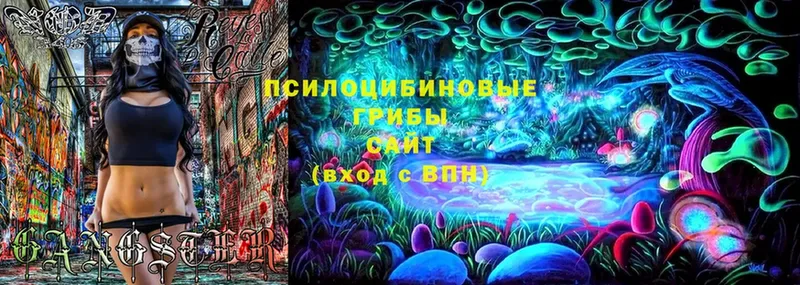 цены наркотик  Копейск  Псилоцибиновые грибы Cubensis 